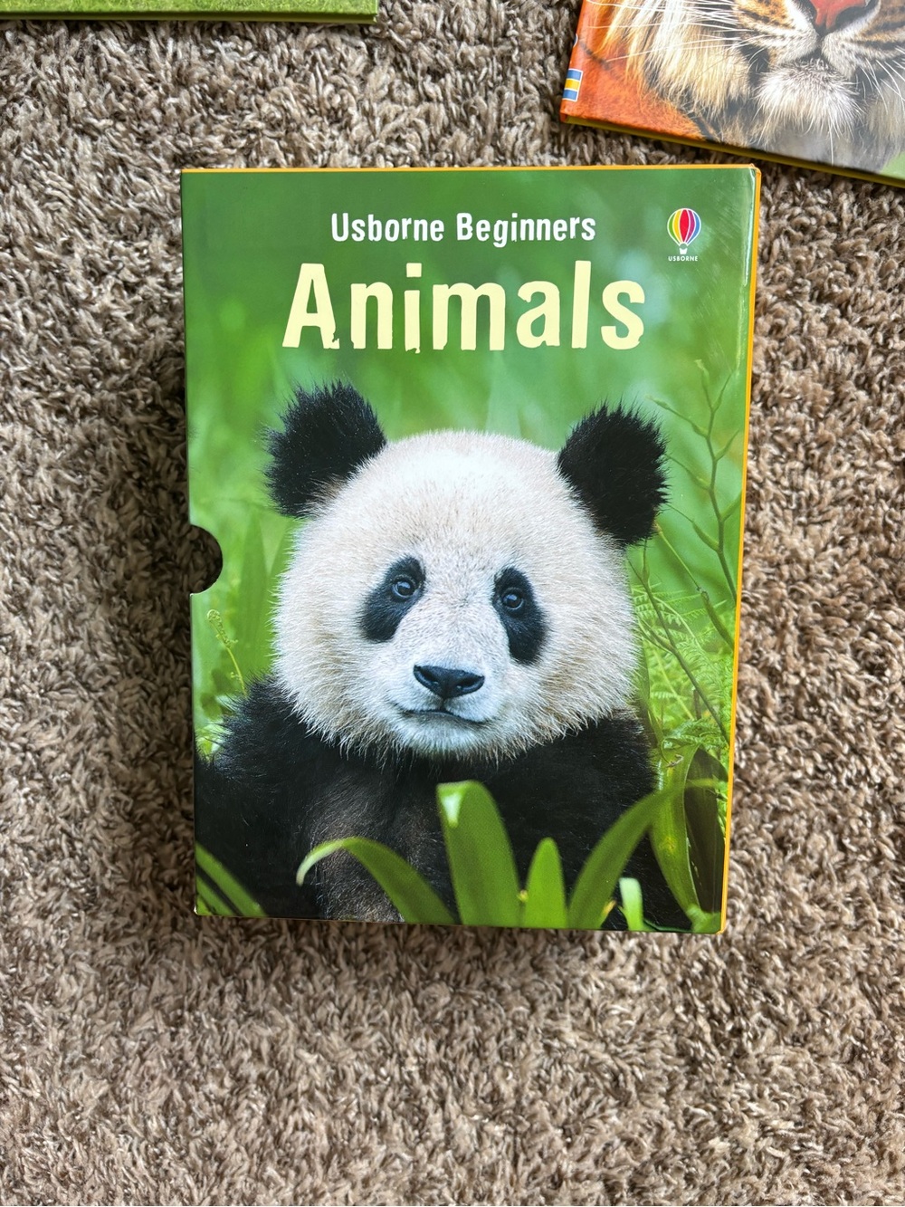Usborne Beginners Animals Book - Green